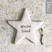 Tiny Star Token | Special friend
